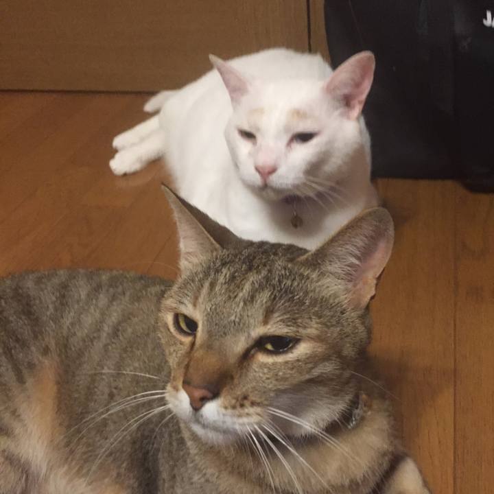 3408a955 59e1 4978 acdb f9ae0e821c4a 1564931046776