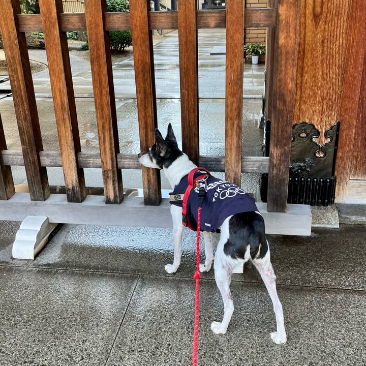 3408bd3a 2bf7 455f b76e b89d9b5de762 1636249577713