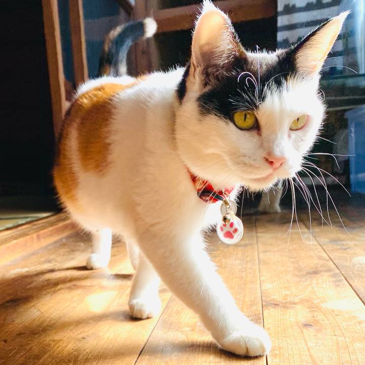 3408dd6f 69e1 4a72 b747 5856ba5ce6db 1726620775008