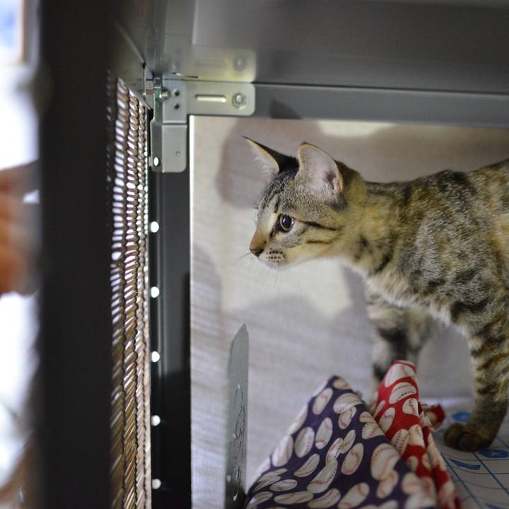 3408f87c e6aa 43dc b61f 305f3b0daed8 1541675775971