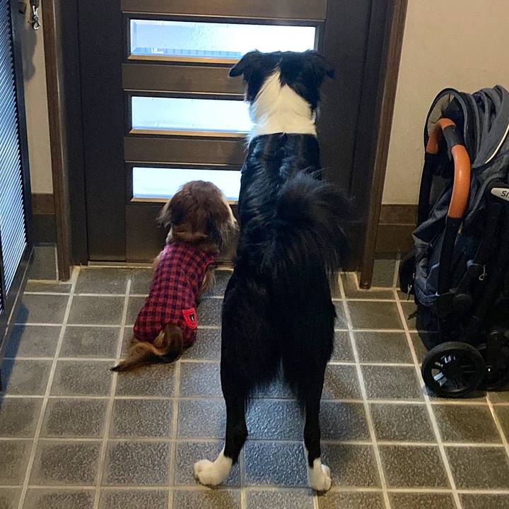 34091ac2 a912 4bf4 a69a 270b422d4b21 1769929792201