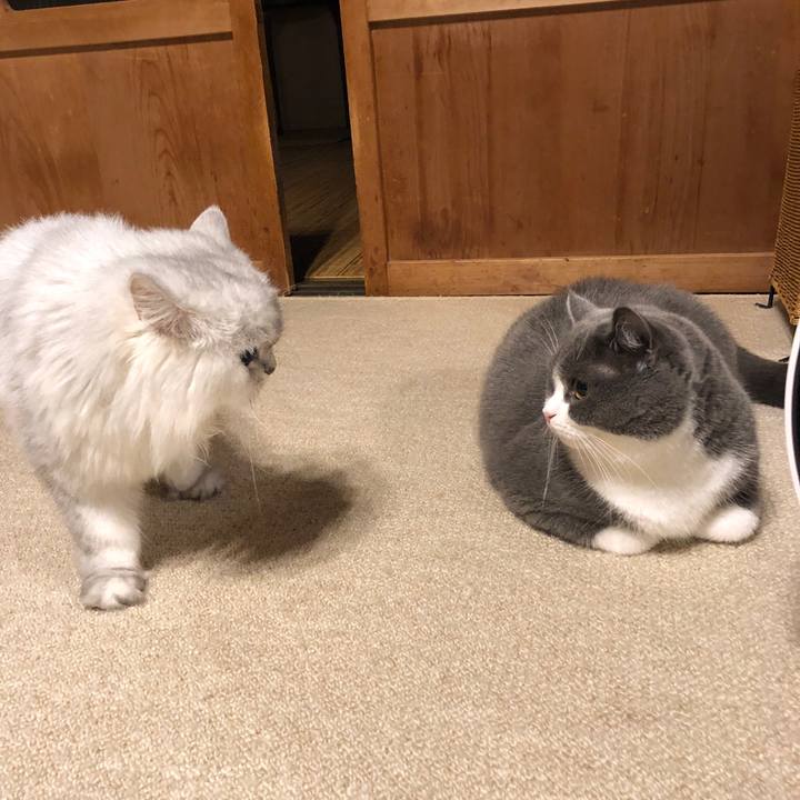 34091ccd 2d09 4f34 8347 9416172c4742 1567166548127