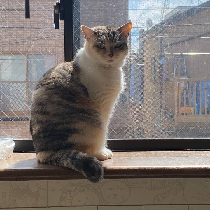 340984a1 2c0f 4765 9214 4f080544c349 1584329745694