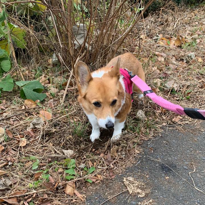 3409af07 59a9 4b74 9873 bfde03e17f95 1700978174687