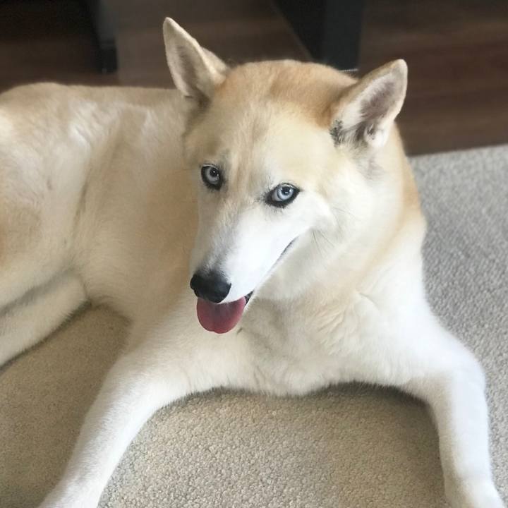 3409afd1 69a4 447c a928 1bff4e0cf3fe 1693523399990