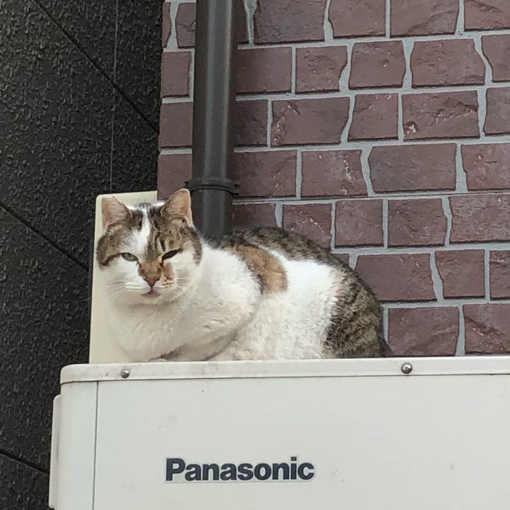 3409cd06 658a 45a7 b5ff 170d2b16b231 1547046079341