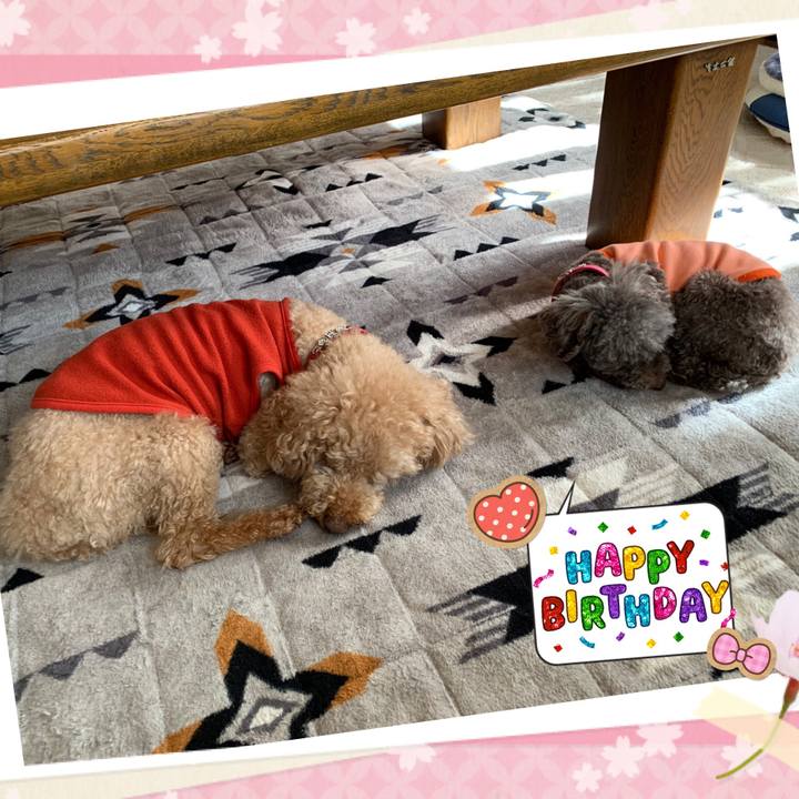 3409e30a b838 45ff 8452 c29dbdc1b888 1617149559762