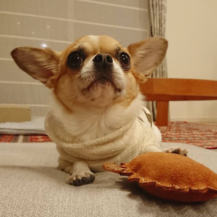 3409f082 0369 459a 87a1 c38635272642 1615973767611