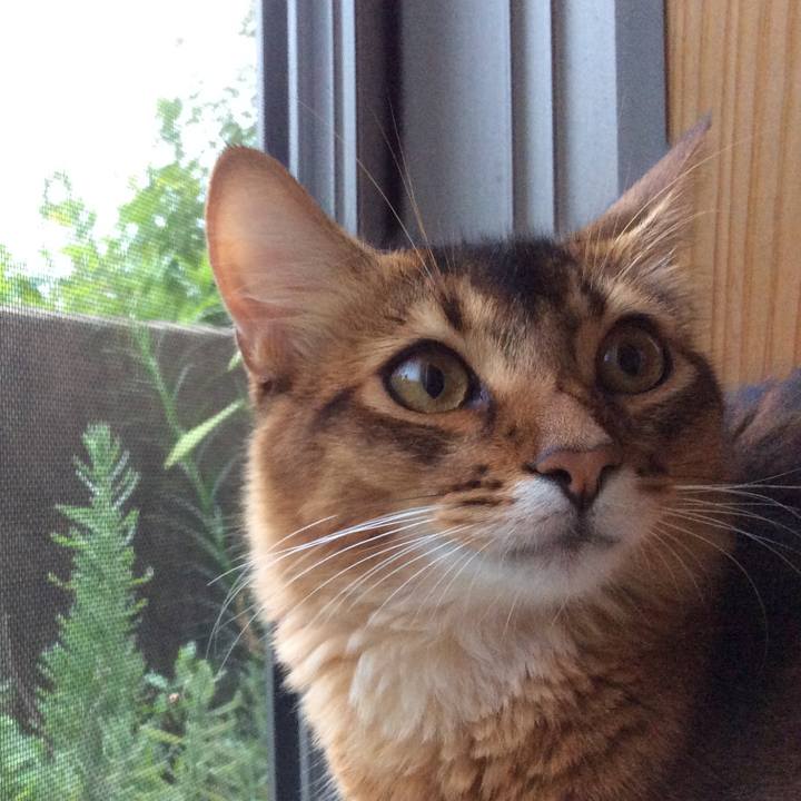 3409f76f a638 49b2 a7d2 ff8e17621259 1566466007742