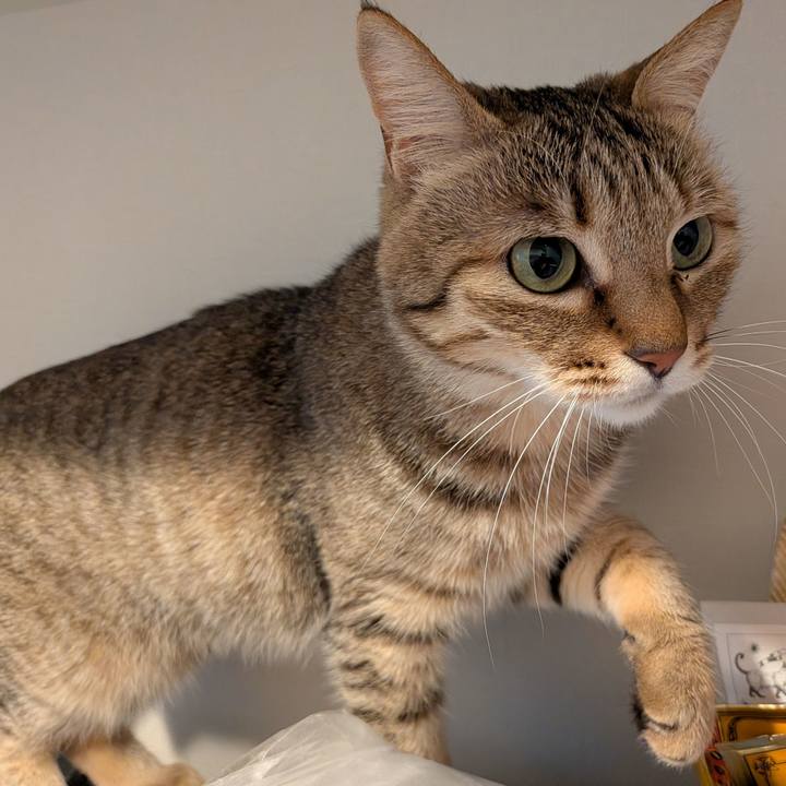 340a27ab e4d9 4f28 8ec8 a79157e67447 1773531125013