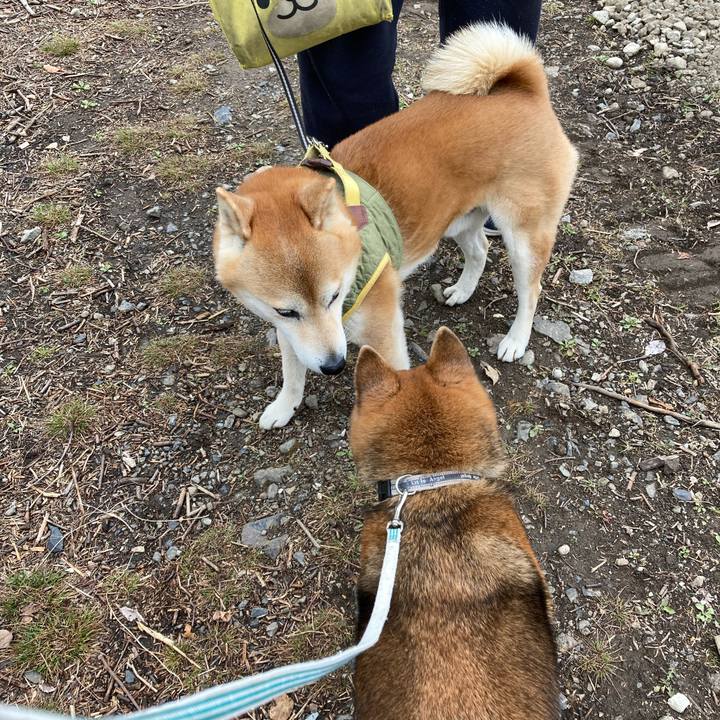 340a3f2f d9b9 49db 9aea cf975ad5361b 1741752946839