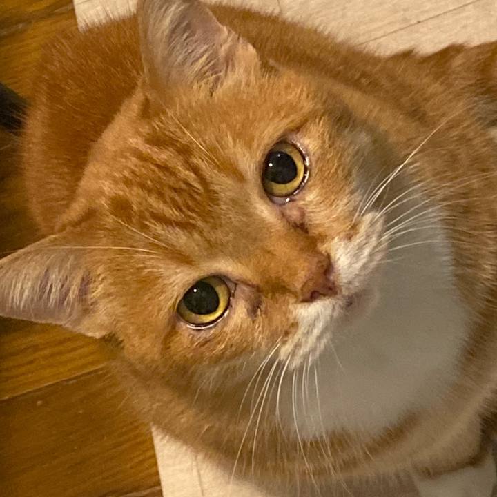 340aa400 0c00 4b98 884d d470695a374c 1669805325817