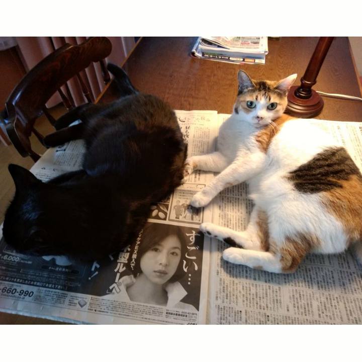 340ac3d4 5e27 4b85 8165 6a6a8ac8c522 1554956170855