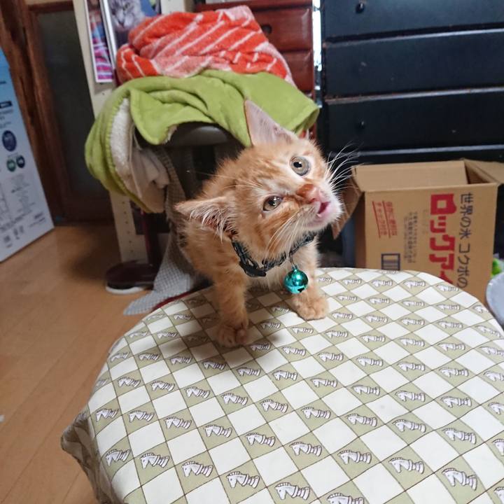 340ac3dc 4790 466a aa9a 0f71ededd50c 1627937099289