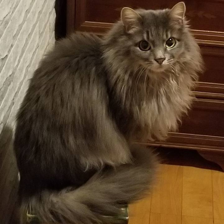 340ac4ce f208 4017 9675 d6037d07a0be 1580905346058