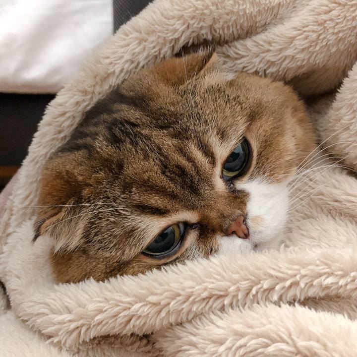 340acd80 1e96 4759 9999 e26c600fff7b 1602981074411