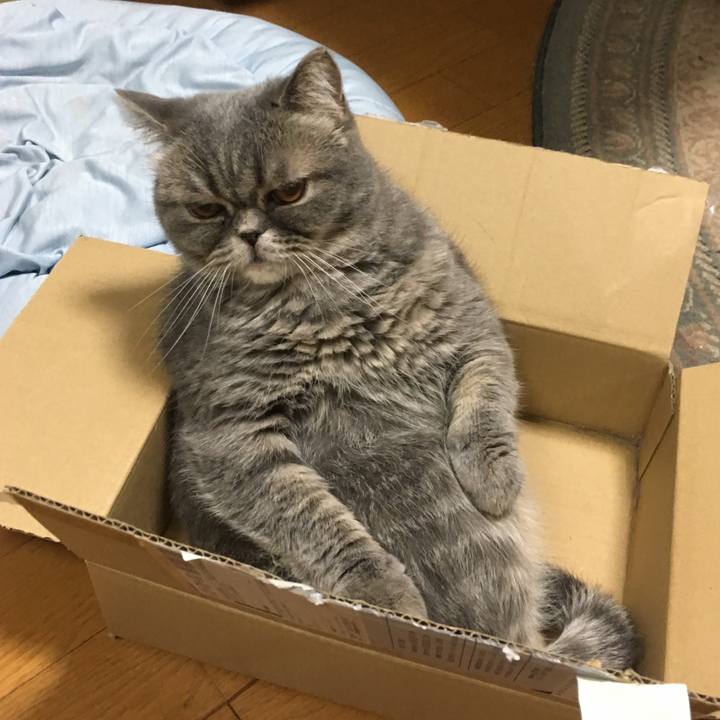 340af13c 7e00 4312 b094 f20cde458aad 1509466626104