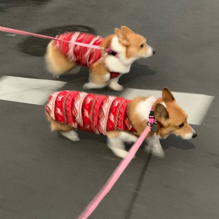 340b06a3 dd92 484e 9ce5 864c580be65c 1611104265304