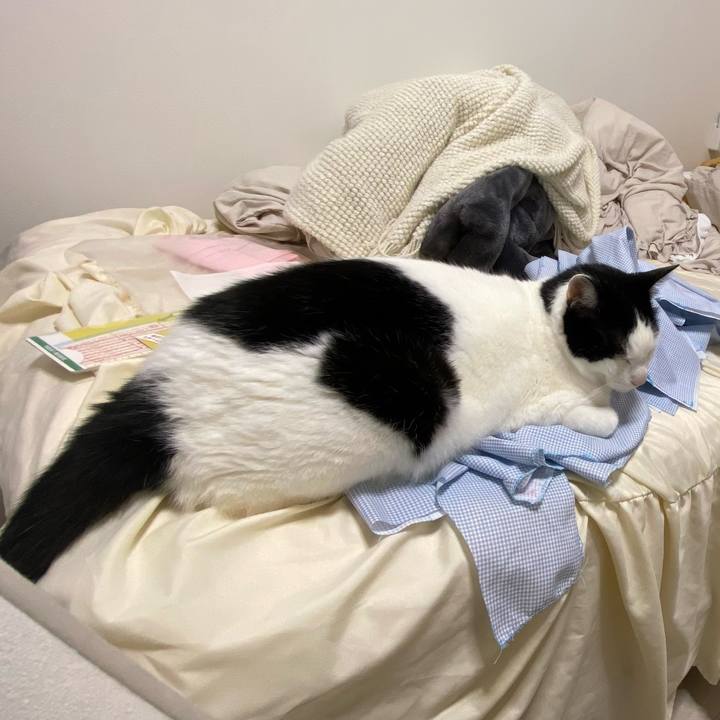 340b2e76 8b5c 4b3d b439 61872ffc3ce7 1714305647728