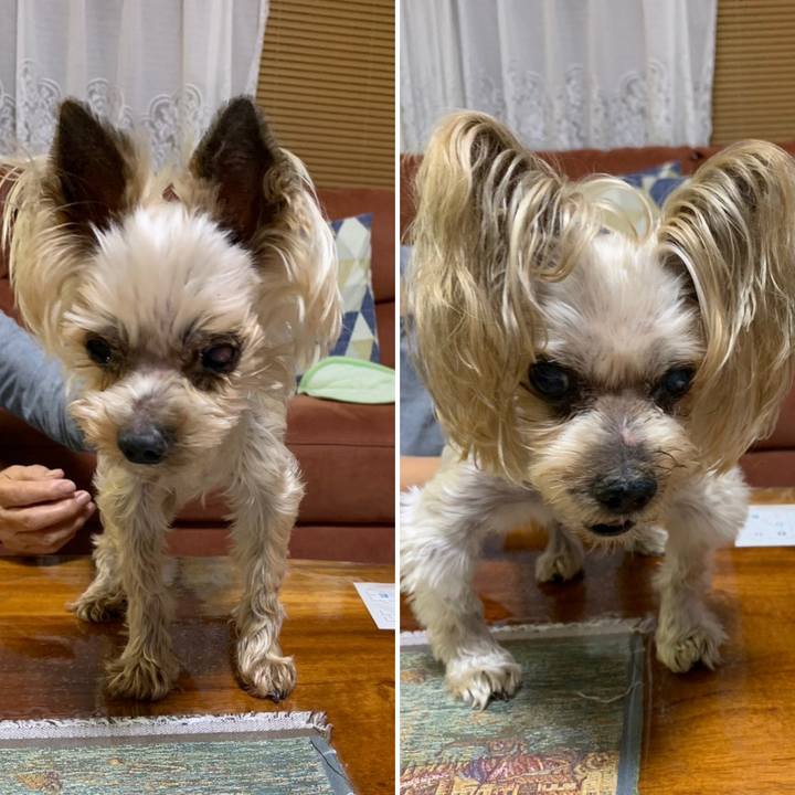 340b355f 08b5 461d a641 b817efd51d81 1695979945727