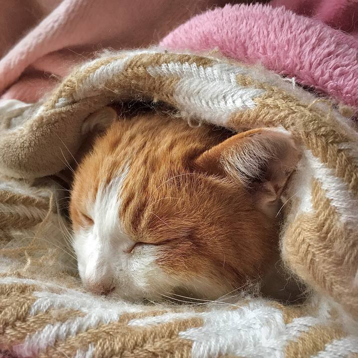 340b435b 4a12 4dd7 a661 b162556abf5d 1577345715869