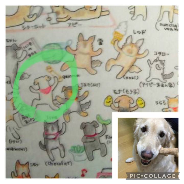 340b4735 e6e9 4465 a6c2 65f19339a096 1660301968135