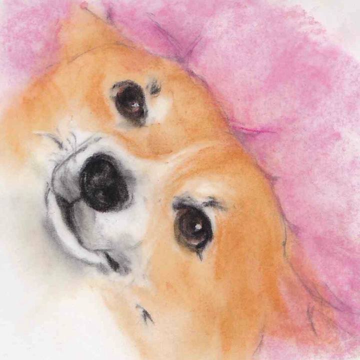 340b7c8e d10e 4eef b7ee 11c39e5c2d1b 1647613393210