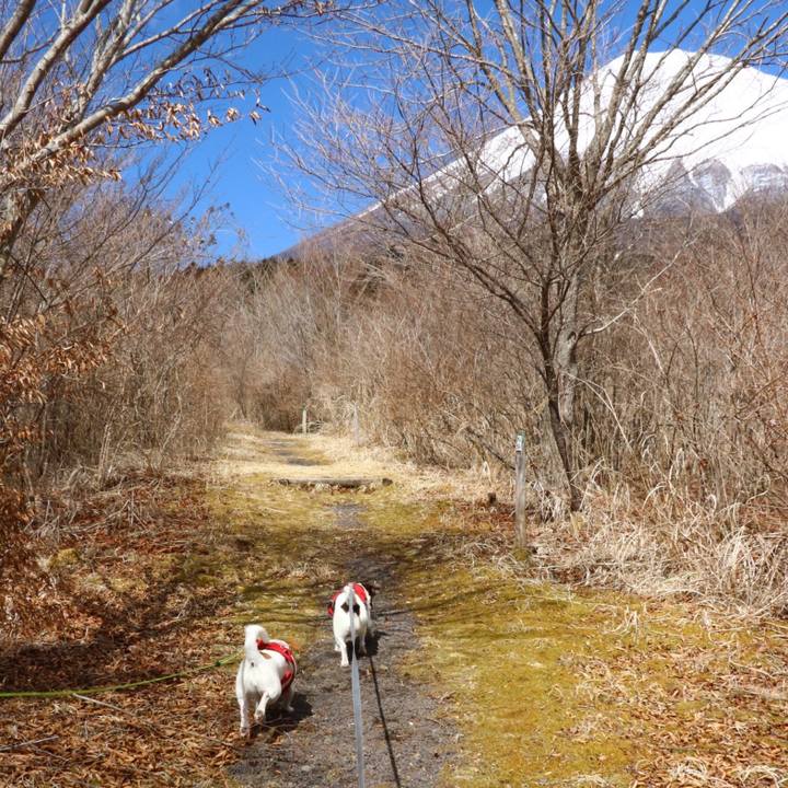 340b9204 d6b9 425d a5e4 0fed1846deef 1552113129805