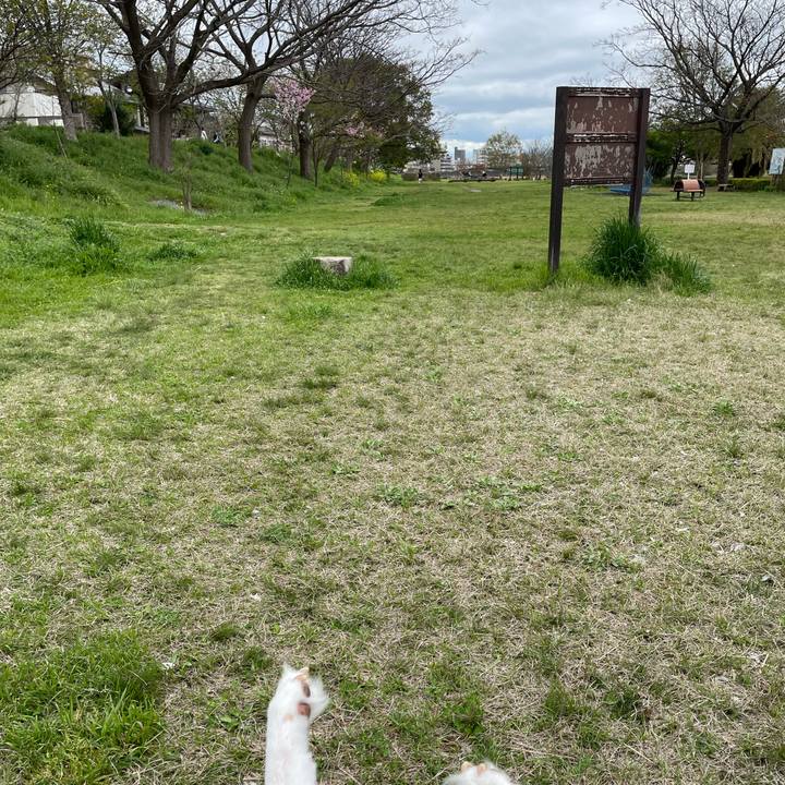 340bb162 0850 47c7 8b08 837537cabe26 1679478862274