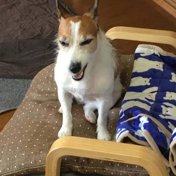 340bfd91 81d4 4cc6 a99b 6c0b168d0e3c 1605223877910