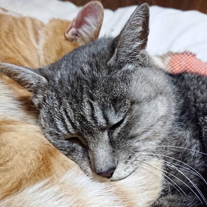 340c0b42 934a 455f 95c0 d15ef2272a64 1605267793988