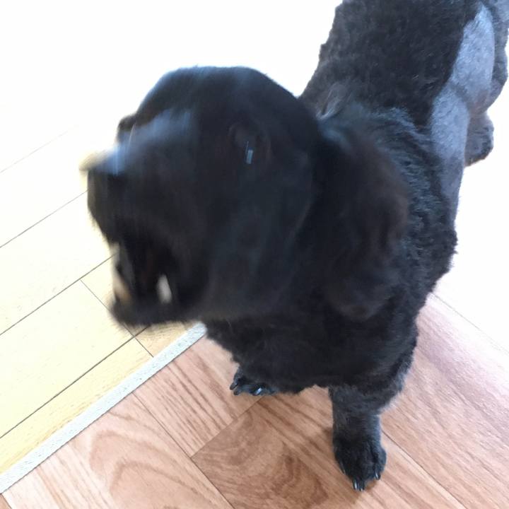 340c1459 748e 4d7b b247 7599b35a4db9 1508450910504