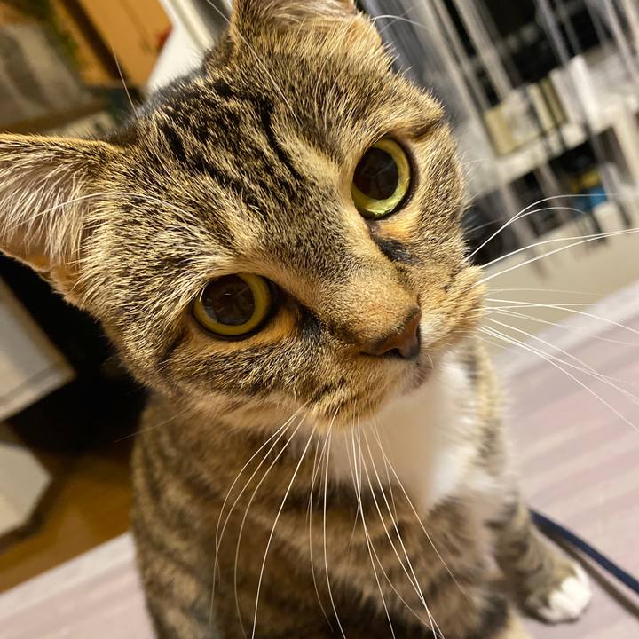 340c450c e2aa 4ae7 b16c 1c3a5bd7914f 1612297249636