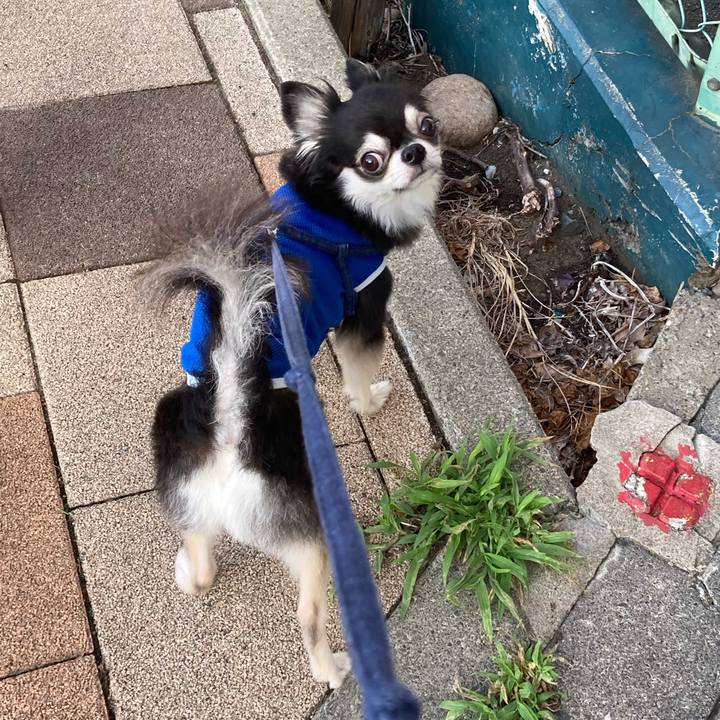 340c5bb9 33cd 4e98 bbc8 ba53a113e8ff 1692460473178