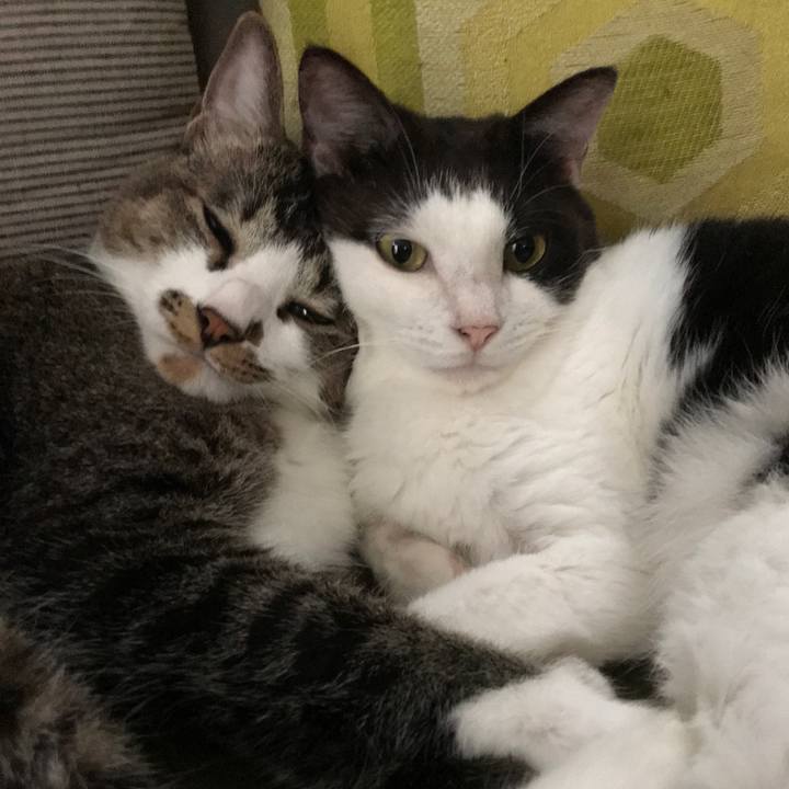 340c69d8 609f 4561 b21e f2d28f773d30 1597740534830