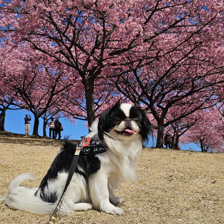 340c7e71 a35b 4d01 bb41 637a04e26e30 1742214717801