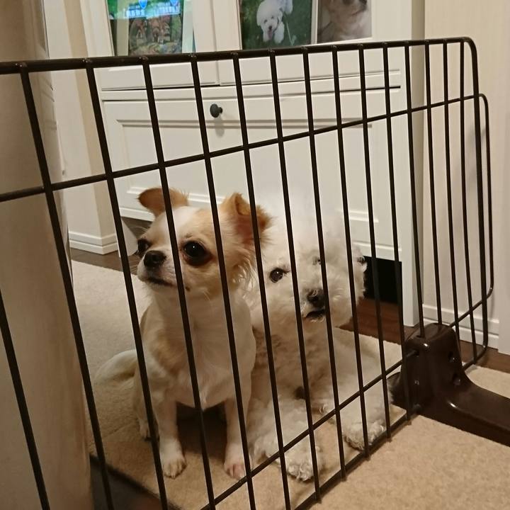 340c8980 889e 4e51 87e7 0f6c80120d15 1510746969078