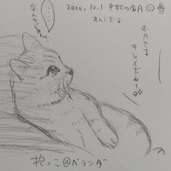 340cc2fb e6e5 43a9 98ca 3da85ce3f972 1601558904456