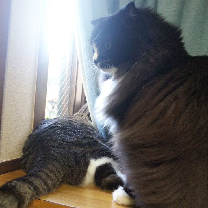 340cdd8e 33d2 488a bc67 2829c4f65575 1662847395190