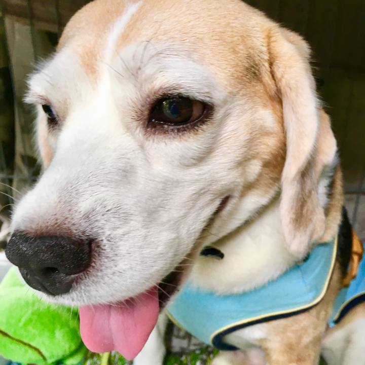 340cf0d1 d04e 4736 943b e43e95aaae33 1563853520866