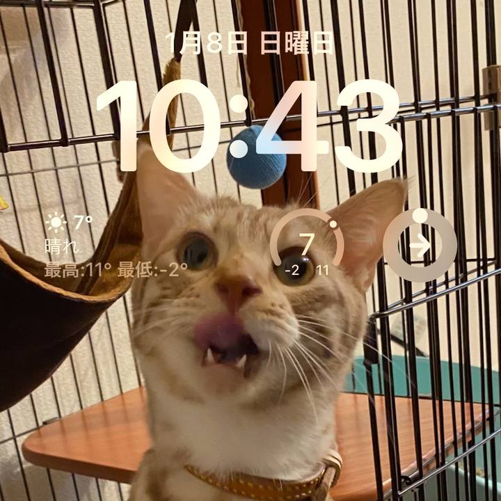 340cf57c 8e8c 486c ae48 744d866d30a6 1673142302066