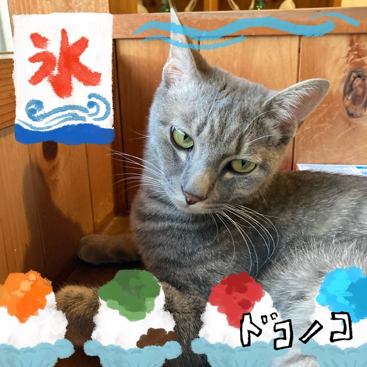 340d0f0a a498 46e7 b130 ce71e4114ba8 1723197188693