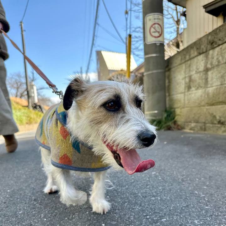 340d149c 5c3e 4730 96c0 ff779a1e4631 1710048979469