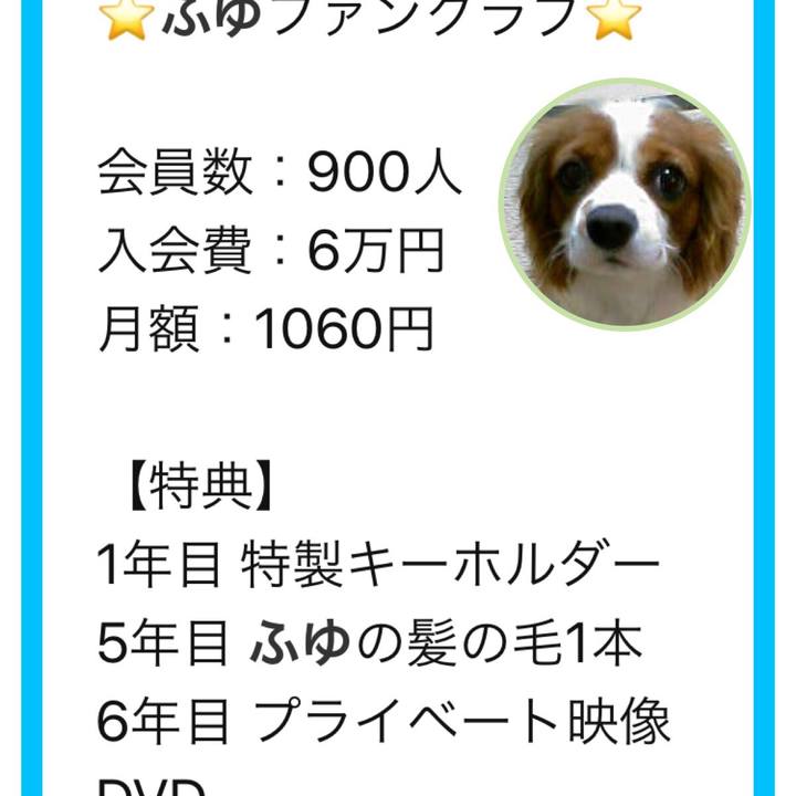 340d5b05 c91b 4172 ad8c 5628c7de3e37 1568377623042