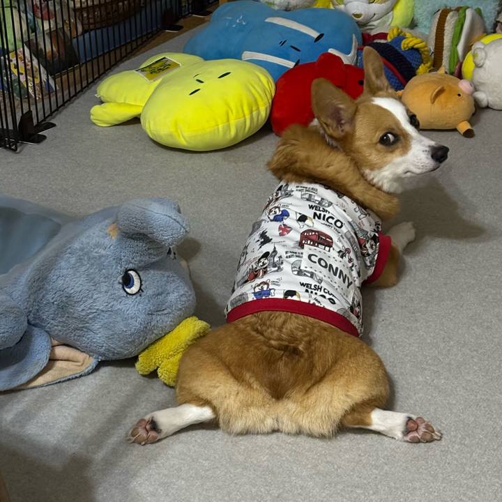 340d5dca 445d 4e12 bd4e 1efa76e28052 1760882041899