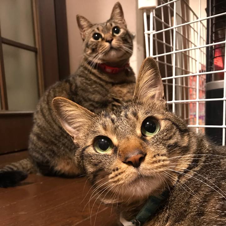 340d6adb b01d 4304 b43b 8876f9be8fcd 1574262688536