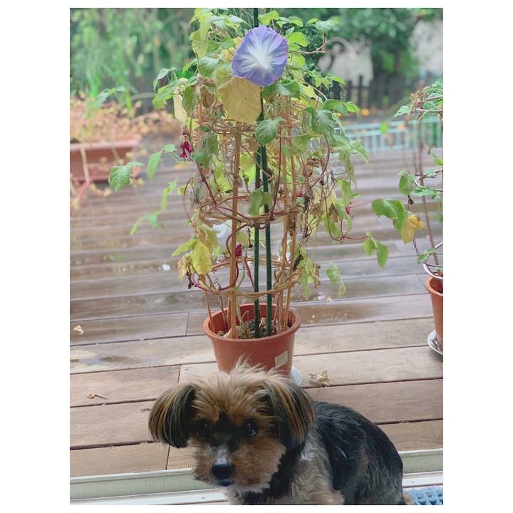 340d7a11 f7b5 42f1 a181 2810eca9cb43 1634077430317