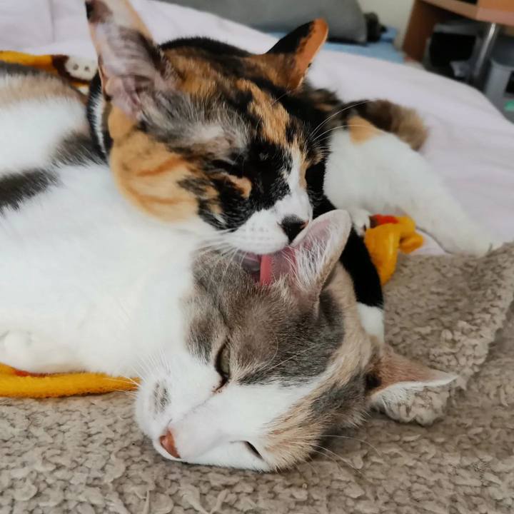 340d91e6 27c8 45eb 8c36 5d4b13d596a0 1653316824777