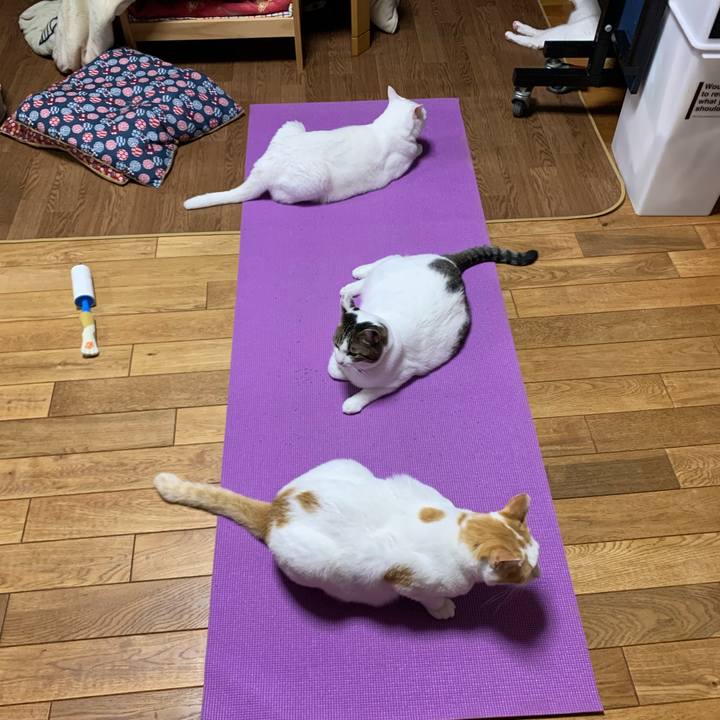 340dc870 b147 4365 af47 bf5d66e466ad 1590934255076