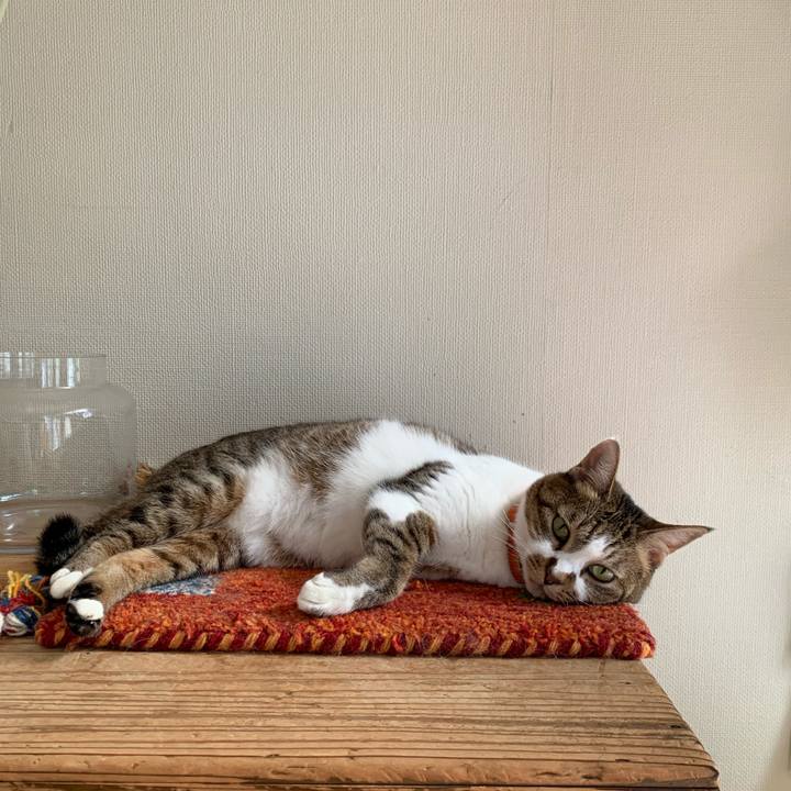 340df1c5 c01a 451f a163 2081070d89dc 1666401104136